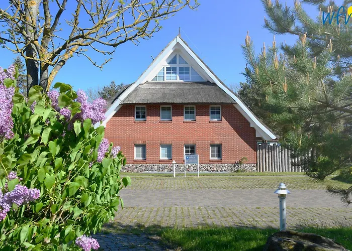 Am Gutspark Drankse Seegras Apartamento *